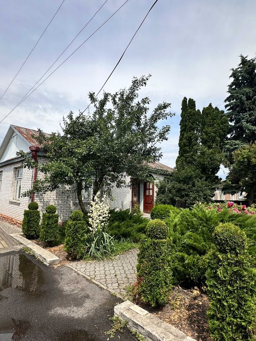 2 будинки+виробниче двоповерхове приміщення на території