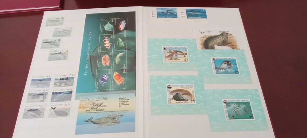 4 Classificadores com selos estrangeiros