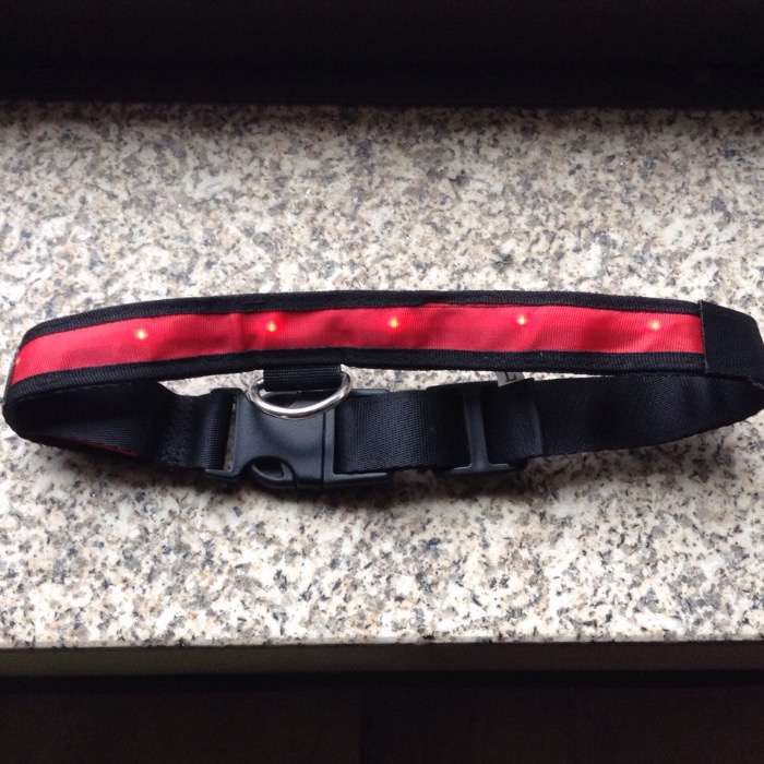 Coleira para cães com led`s inclui interruptor (v.unid.)