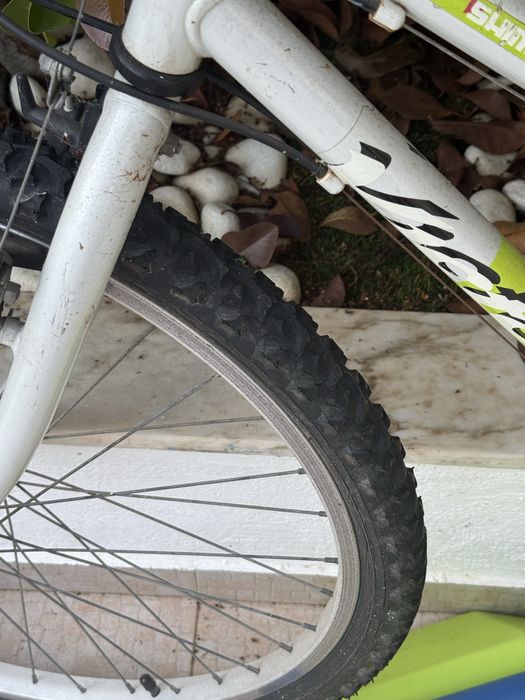 3 bicicletas por 20€!