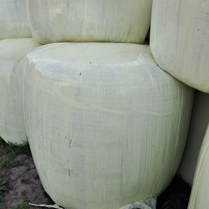 Sianokiszonka z Mieszanki Gorzowskiej