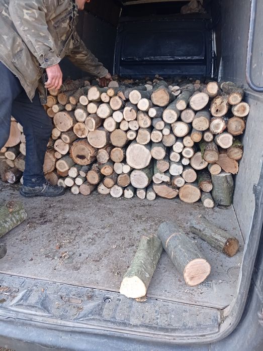 Продаю дрова твердої породи