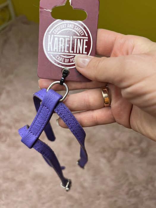 Шлейка для маленької собачки