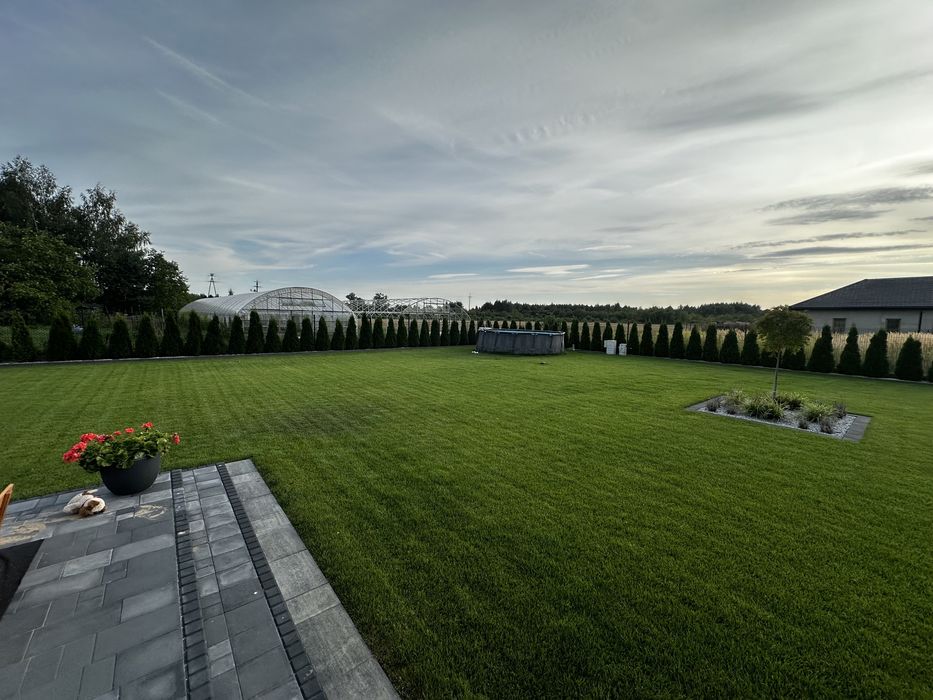 *Trawnik z rolki* trawnik siany * automatyczne nawadnianie