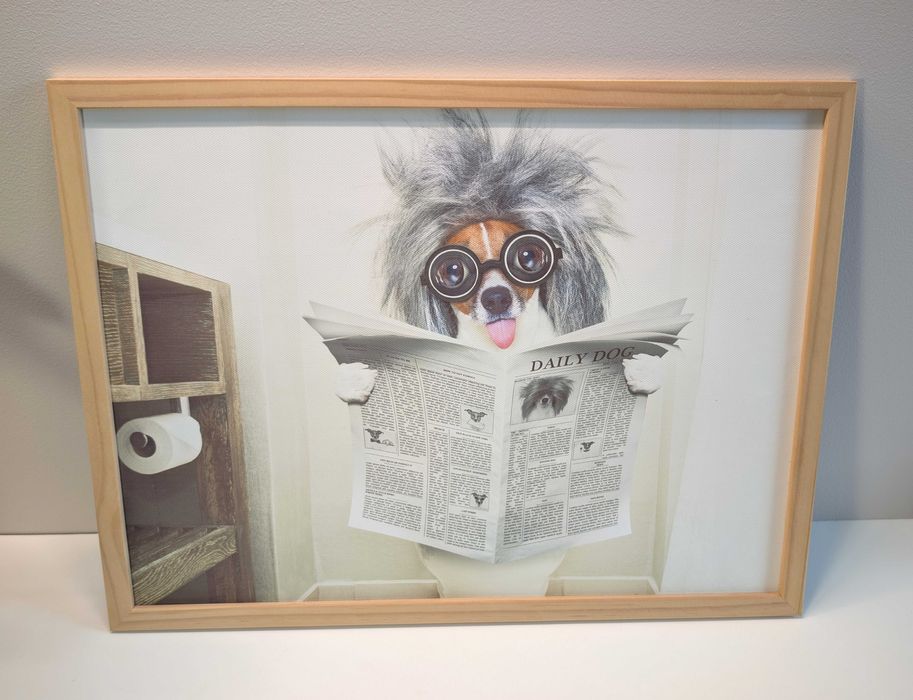 Obrazek śmieszny do toalety WC pies daily dog 32x42cm