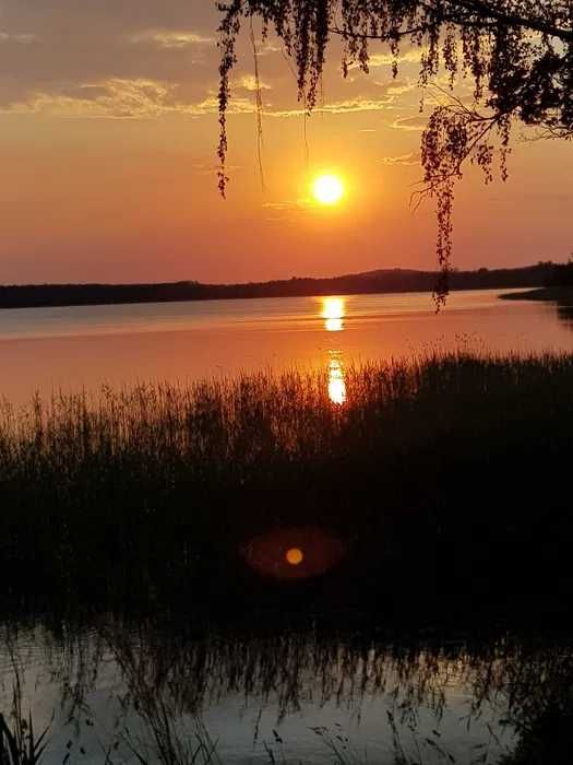 Dzierżawa terenu nad jeziorem pod  Holenderkę,  Pszczew