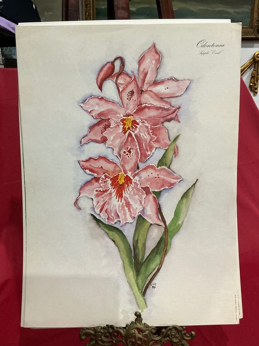 Pintura watercolor 46x34 cm. ANUCIOS anúncios abaixo