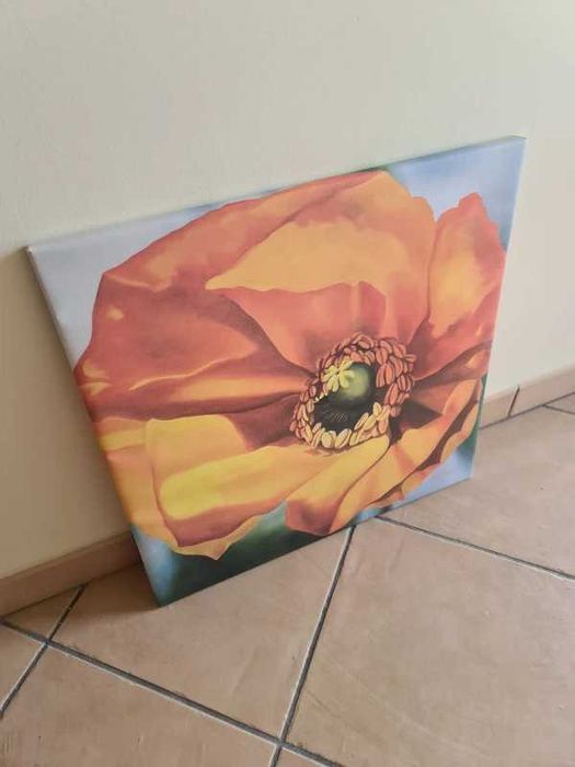 Tela Quadro Moldura Rosas Flor Roses 53x53cm Frame