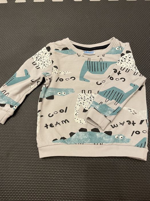 Bluza niemowlęca w dinozaury roz 80