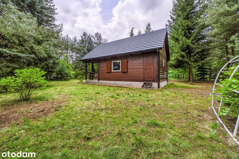 adamów-wieś | działka 2185 m² | bliskość lasu - Widok 2