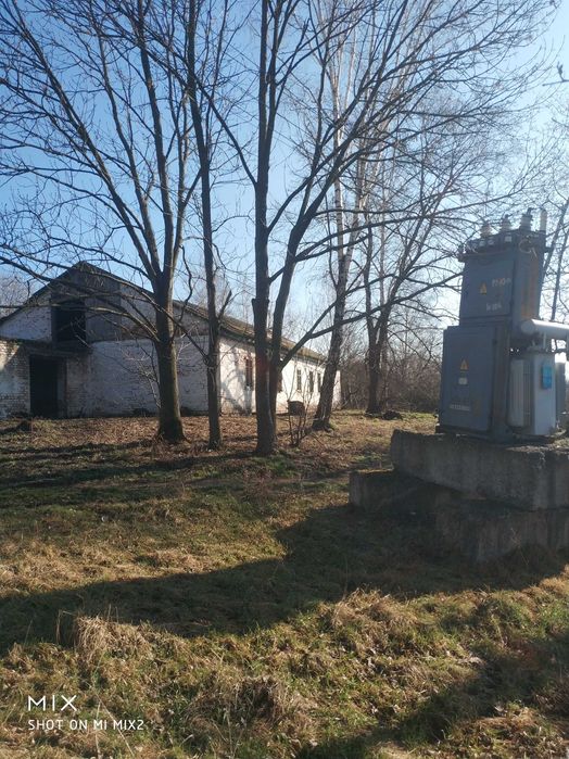 Нежитлова будівля, 1980 року побудови, загальною площею 250 кв. м.,