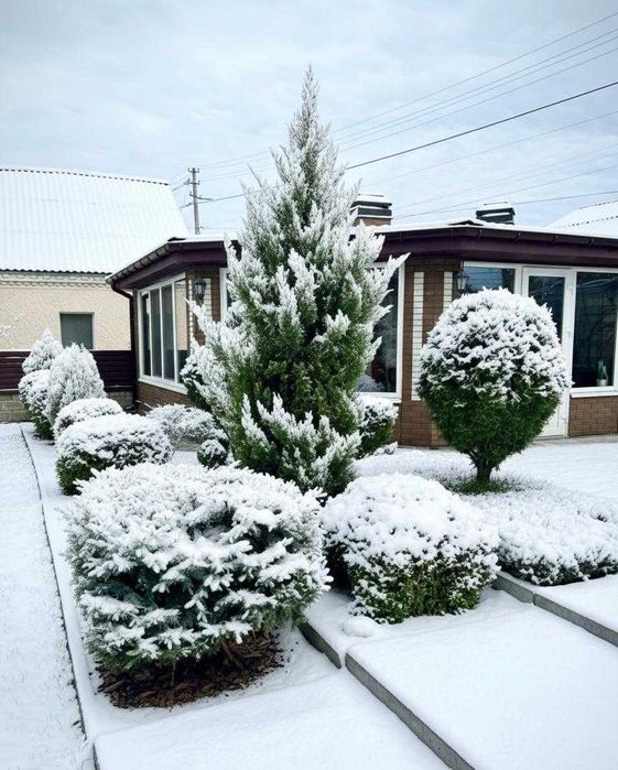 Продам будинок на Заріччі м. Біла Церква