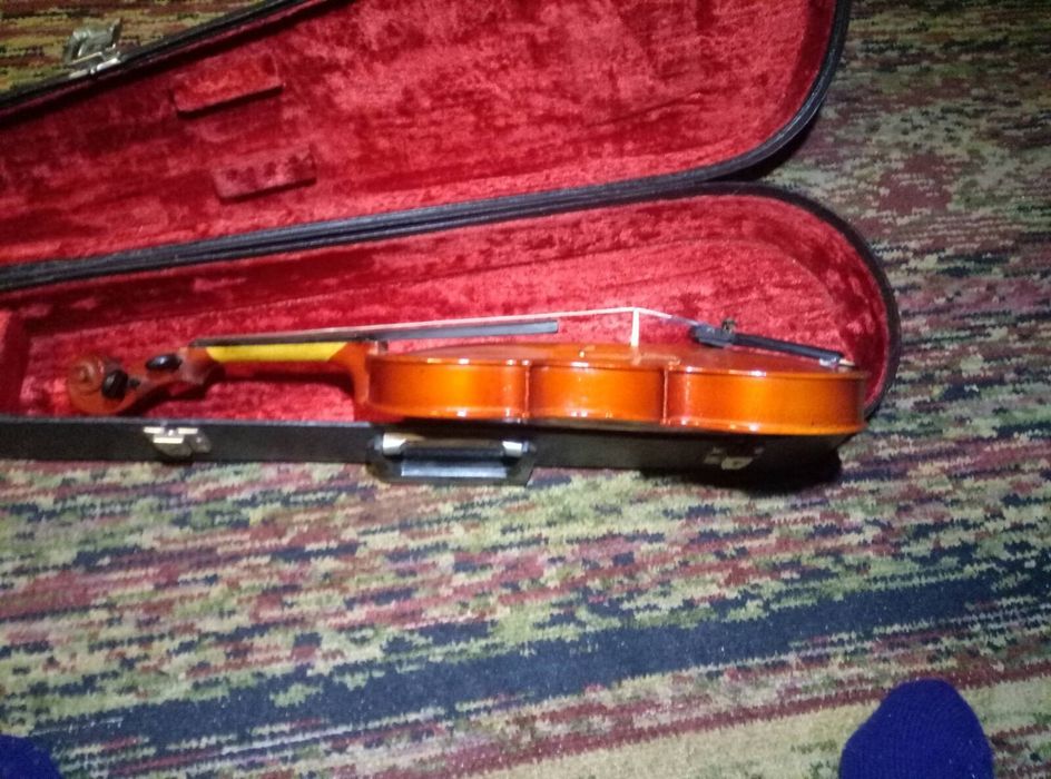 Скрипка 3/4 доросла