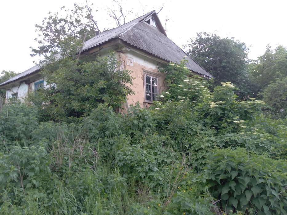 Продається хата в Дмитрушках