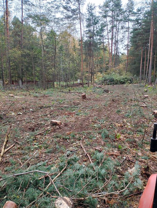 Wycinka, przycinanie i pielęgnacja krzewów pracę porządkowe Częstochowa ...