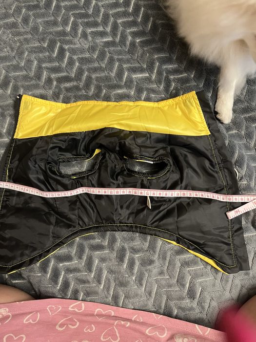 Одяг для песика