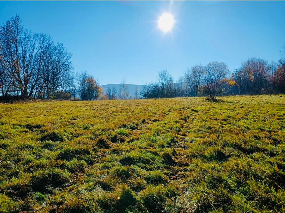 Na sprzedaż działka z pięknym widokiem, Polanica Zdrój ul. Graniczna