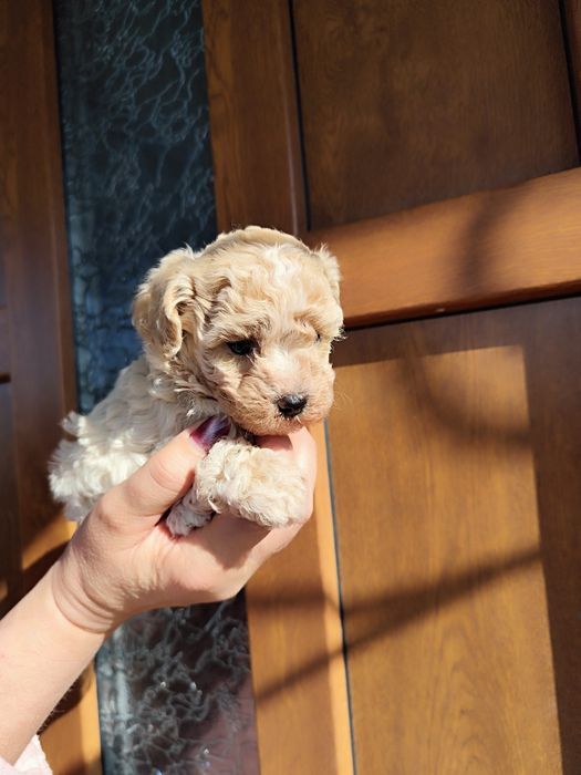 Любимо теплі обійми