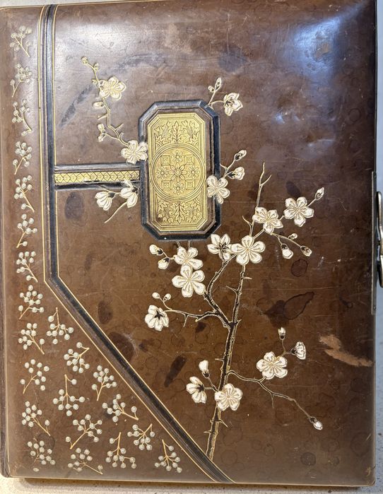 Lindo antigo album de fotografias Arte Nova em couro embossado e decorado com páginas parcialmente com motivos florais