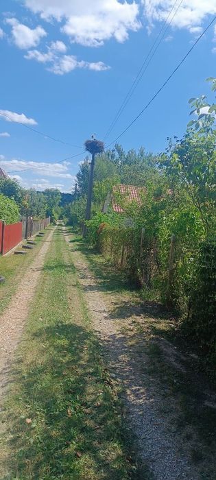 Продам! Земельну ділянку біля лісу в с.Рибне