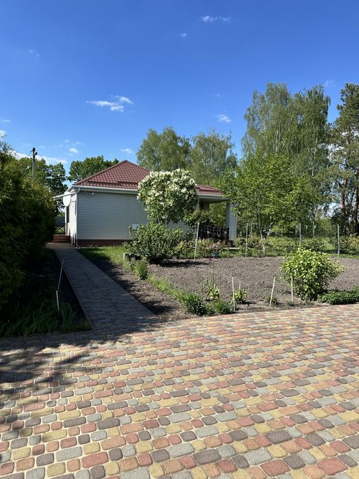 Продаж будинку біля річки Снов Клочків Чернігівський район