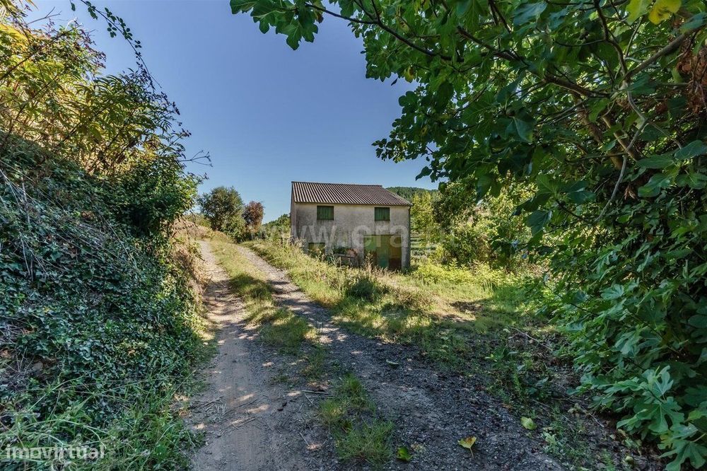 Quinta T1 / Fundão, Alcongosta