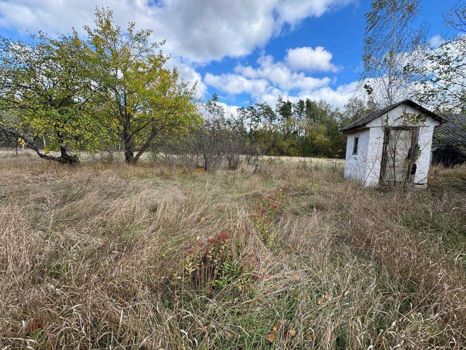 Будинок в селі Гориця