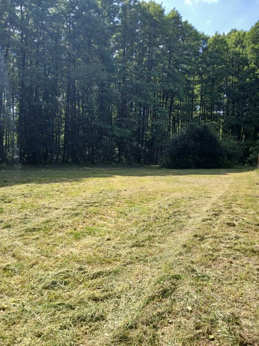 Działka budowalna pośród lasów – pohled 4