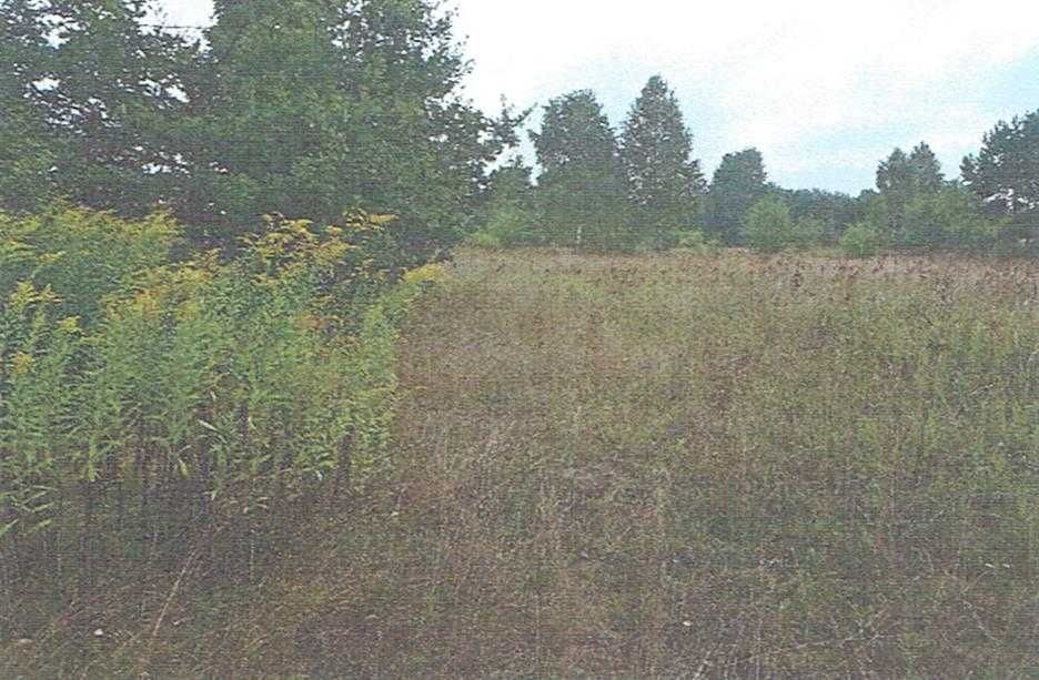 syndyk ogłasza przetarg - nieruchomość Ożarowice