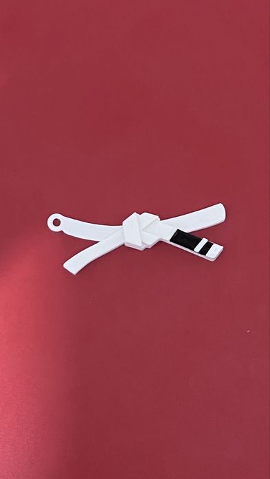 Chaveiro faixa de jiujitsu / bjj personalizavel