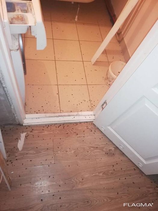 травля тараканов клопов уничтожение прусаков блох Гарантия 2 года