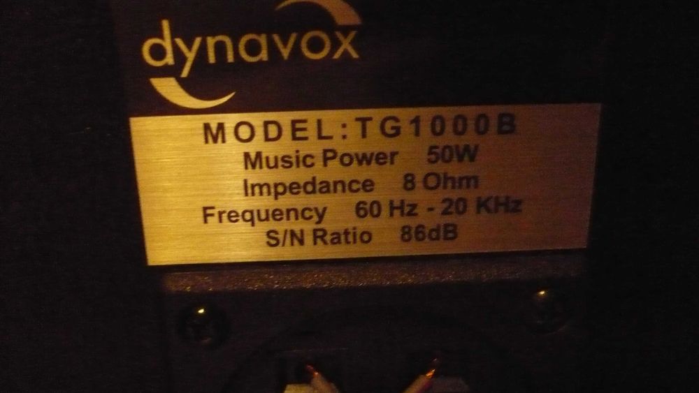 Colunas Dynavox TG 100B