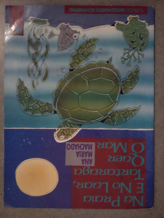Livro: Na praia e no luar tartaruga quer o mar-aborda defesa natureza