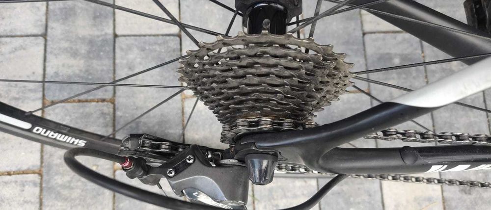 Rower Whistle Sauk, Ultegra, Full Carbon, szosa