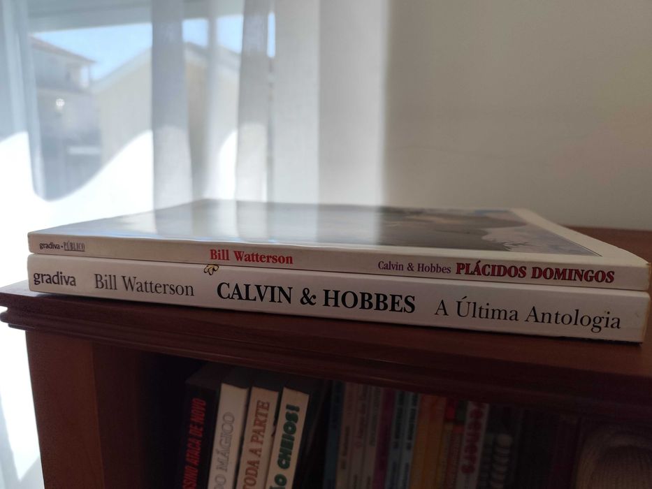 Livros de Banda Desenhada (BD) - Calvin & Hobbes
