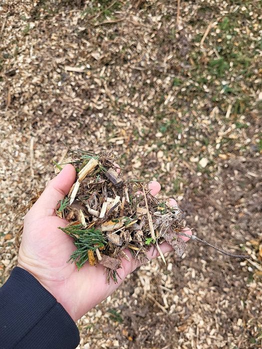 Sprzedam zrębki, zrębka drzewna