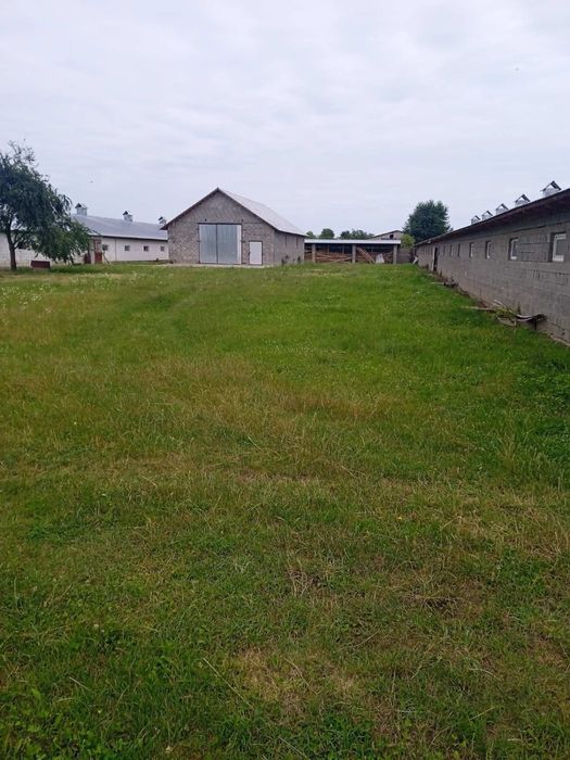 Ферма, готовий бізнес