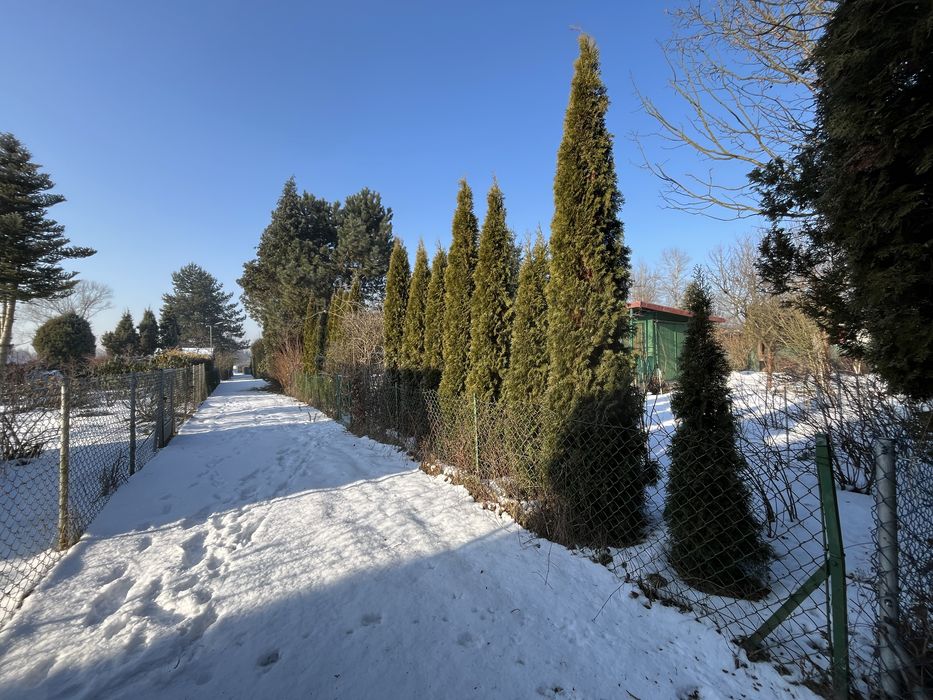 Działka rekreacyjna ROD w Balicach