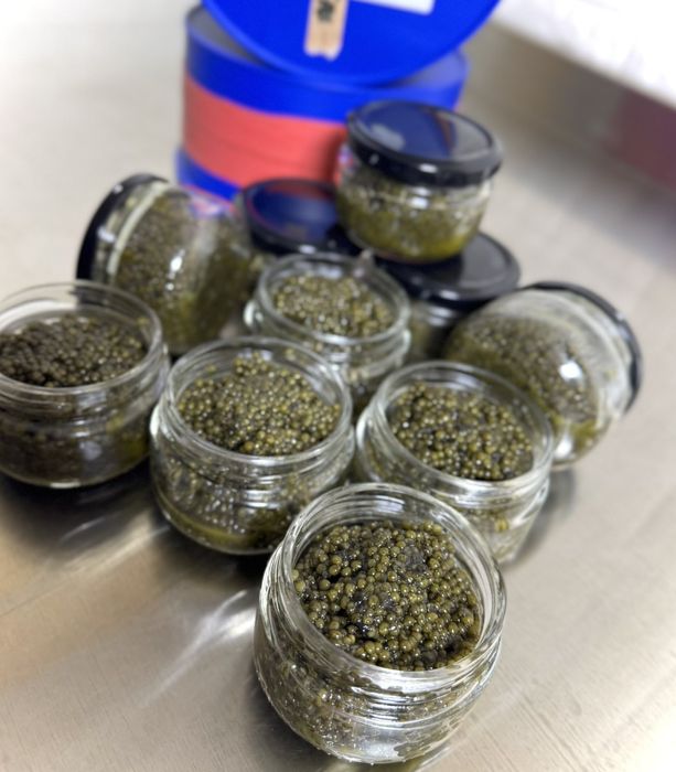 Мясо краба,клешни краба,черная икра,красная икра,лосось,печень щуки