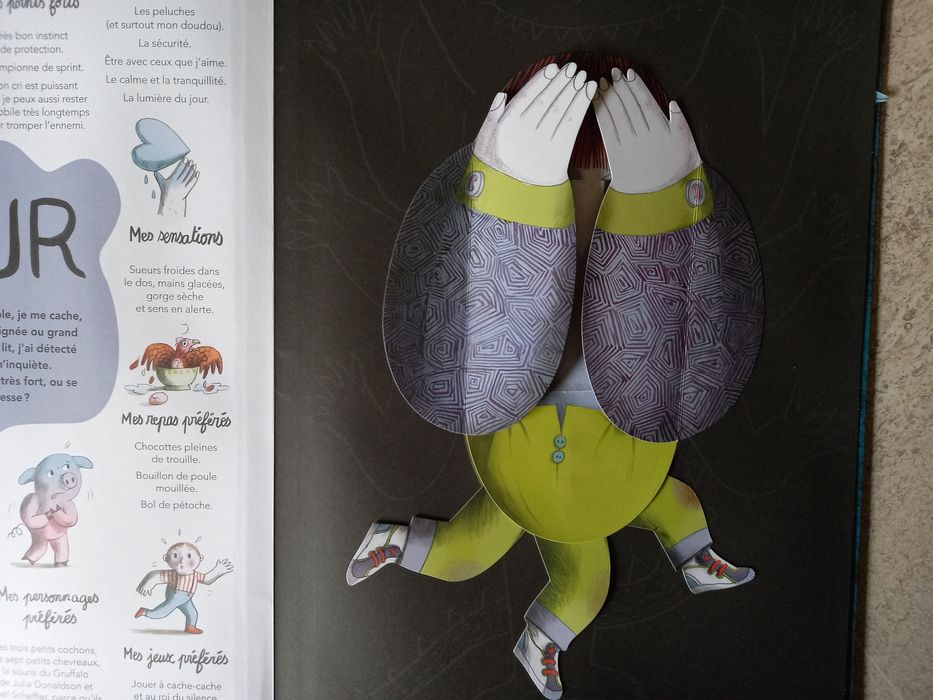 À l'intérieur de mes émotions, Clotilde Perrin