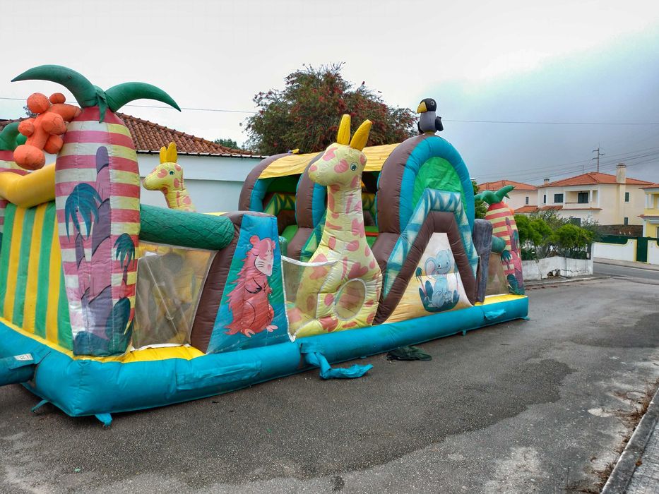 Insufláveis Profissionais para Venda