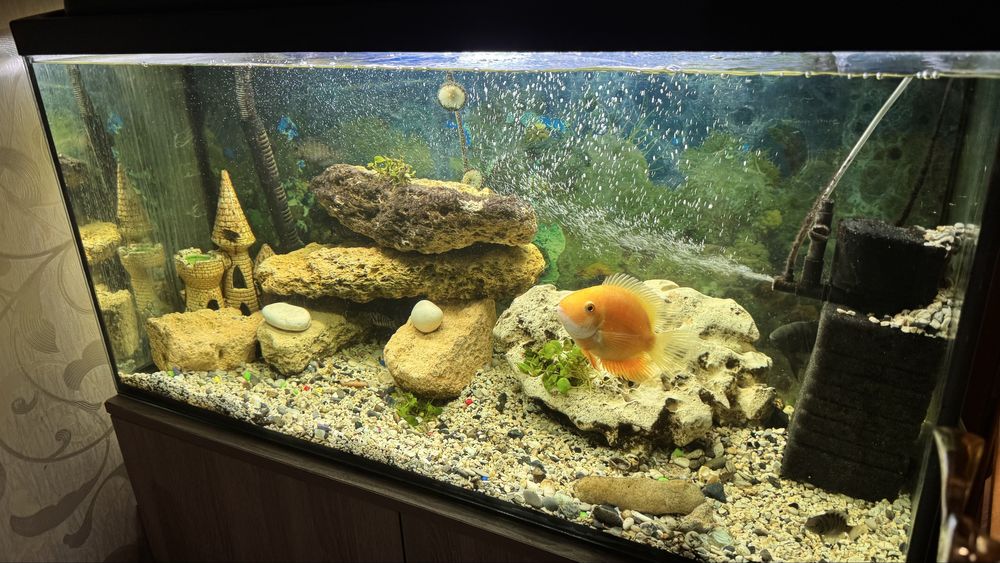 Продам аквариум 200 л