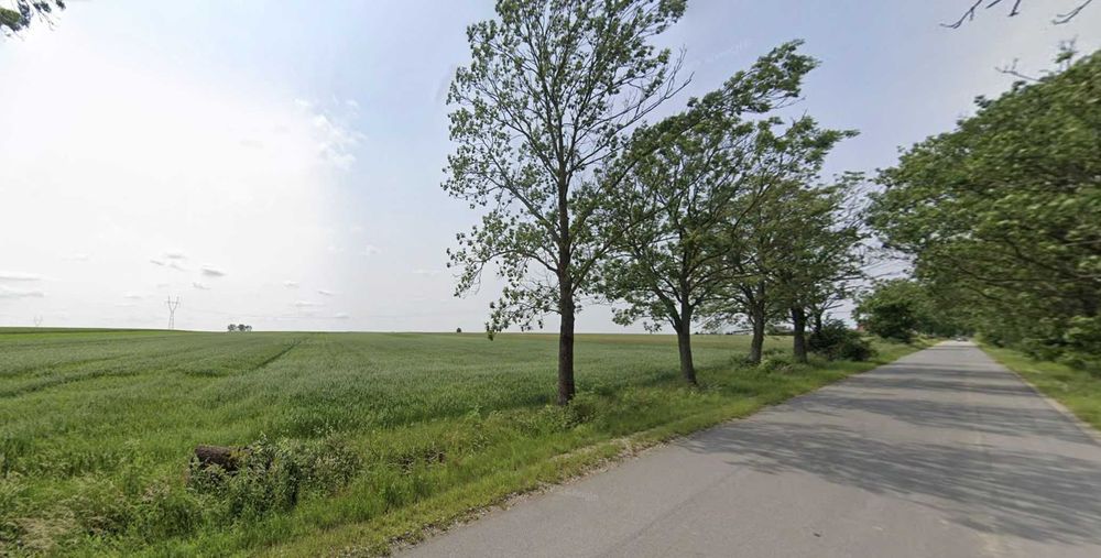 Działka rolna o pow. 4,39 ha w Koszelewie, gm. Gąbin