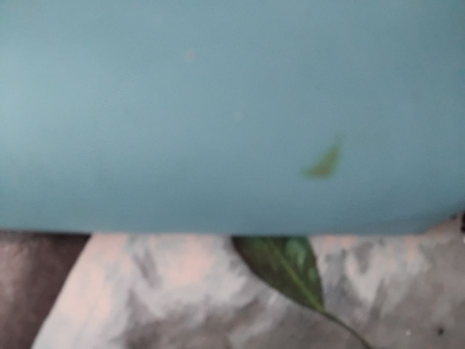 Пенал школьный голубого цвета