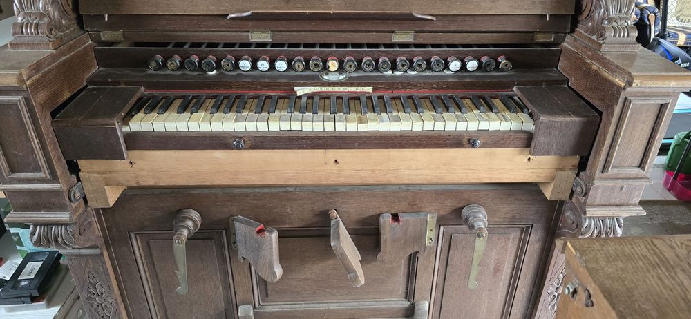 Piano e órgãos, manuais e outros eletricos