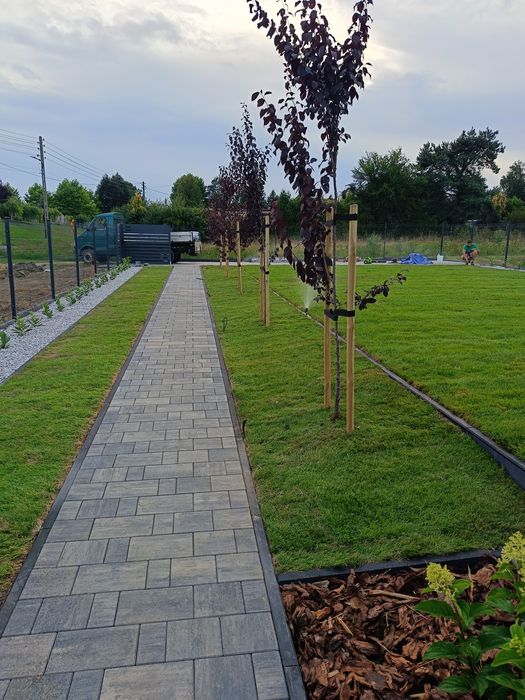 Zakładanie Trawników, Prace Ogrodnicze, niwelacja terenu