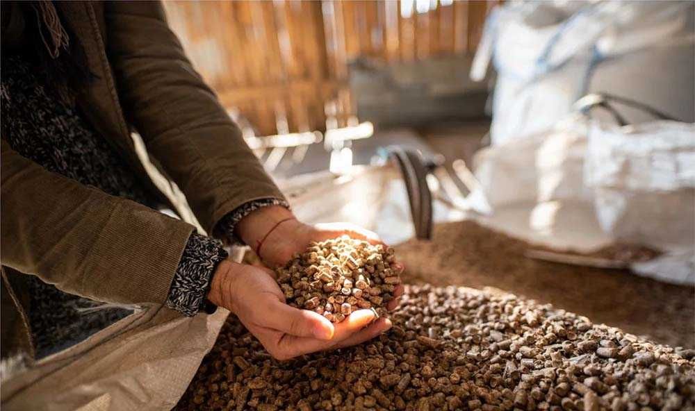 Pelet Pellet Sobianek Olczyk Barlinek Lava Sylva Olimp Pelleton Feniks