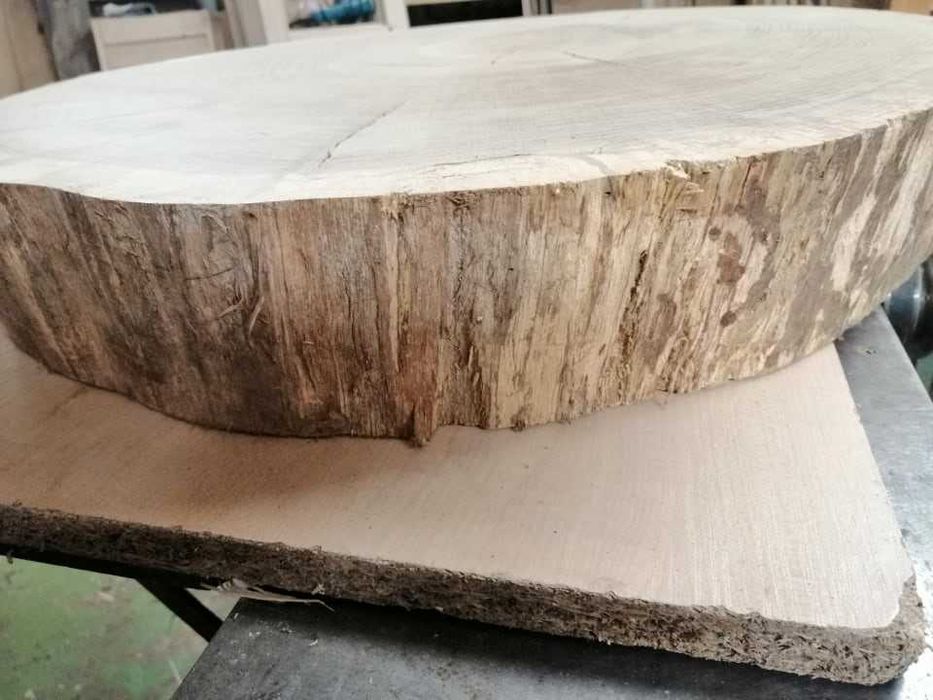 plaster dębu, 60 cm, wyszlifowany.