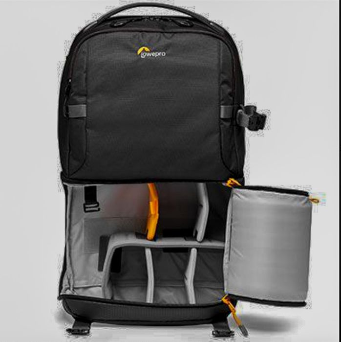 Mochila Lowepro BP 250 AW III