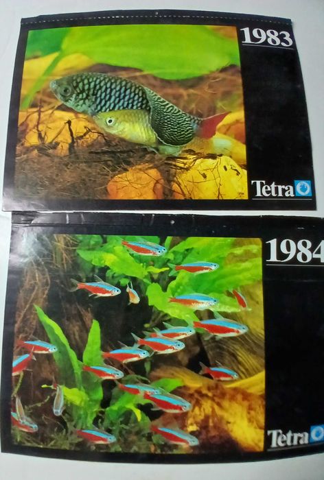 Calendários de parede publicidade "vintage" -